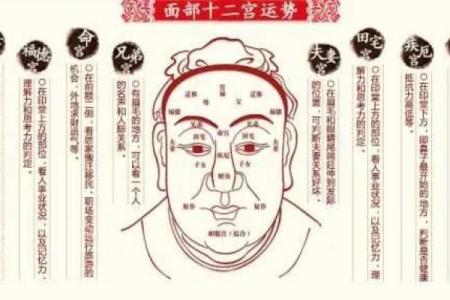 面相揭秘：12官面相大揭秘，揭秘你的命运与性格