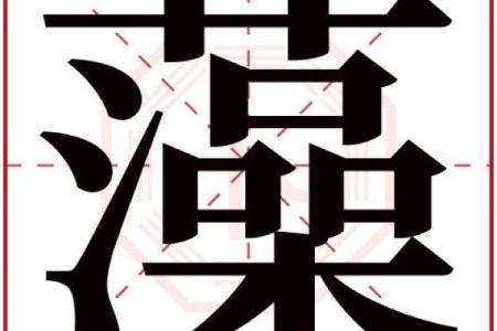 芳字五行究竟属什么 真相揭秘