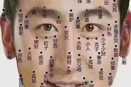 面相四岳：揭秘财运亨通、事业成功的神秘征兆