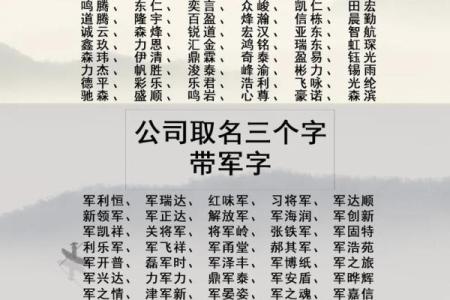 博字公司名字起得好，品牌价值翻倍！
