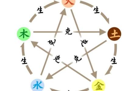 肖与五行的奇妙关系，解开命理中的神秘符号