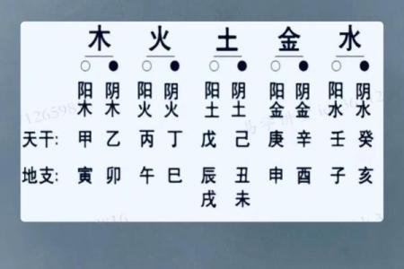 天干地支一目了然，快速掌握命理运势