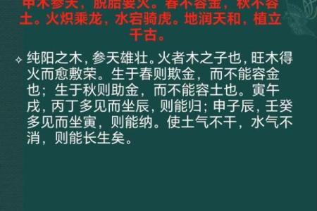 揭秘甲木命：五行中的神秘力量
