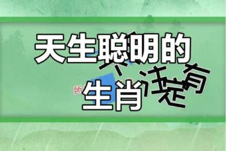 生肖风云：谁将成就非凡伟业？