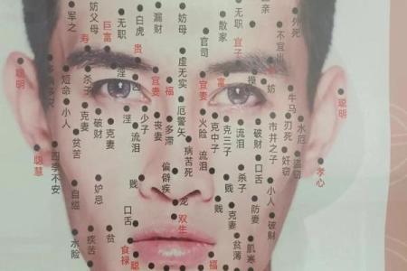 痣相宝典：精准判断，你的痣相预示了什么？