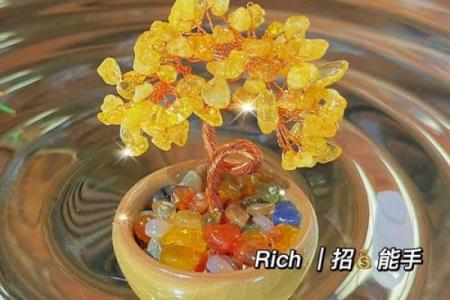 家居风水秘籍：鱼缸摆放，财运滚滚，福星高照