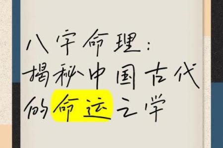 探索中医命理学，了解自己命运的密码