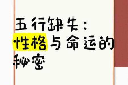 逸的五行分析：探索命运与性格的深层关联