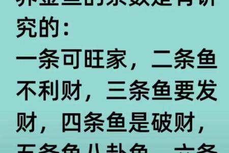 风水秘籍：养鱼数量揭秘，助你运势亨通