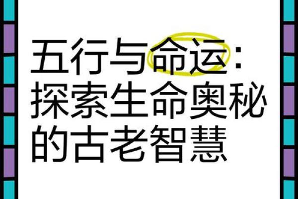 了解五行命理，揭开命运的神秘面纱
