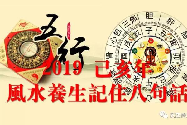 探寻己亥年五行属什么，竟藏着这些秘密
