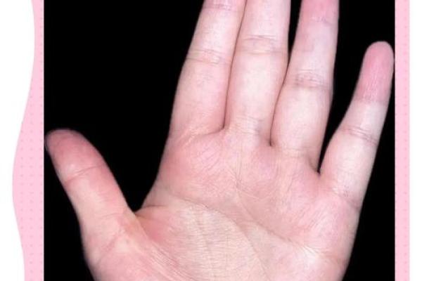 一图在手，财运亨通——揭秘手相绝学图解下载