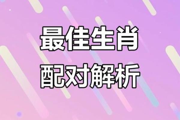 辰龙相配：揭秘生肖间的爱情密码