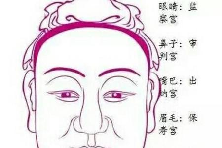 印堂骨面相解析：揭秘命运与性格的神秘密码