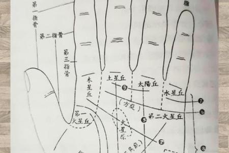 一图在手，财运亨通——揭秘手相绝学图解下载