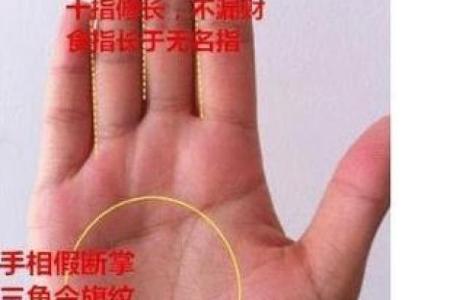 掌中暗藏升官命揭秘手相中的官运之谜