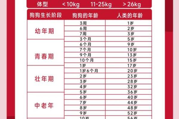狗年运势大揭秘：年出生的你是什么命？