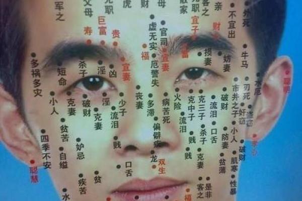 面相揭秘：揭秘命运之谜，看面相预测人生运势