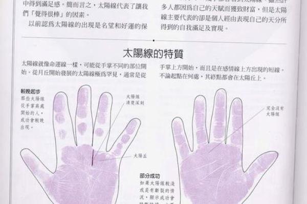手相揭秘：太阳线井字纹，揭秘你的运势与命运