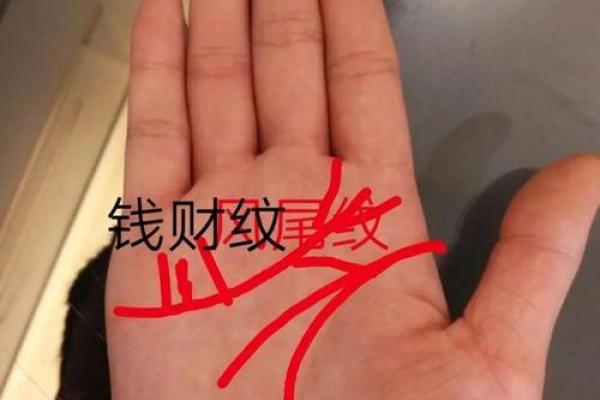 手相揭秘：太阳线井字纹，揭秘你的运势与命运