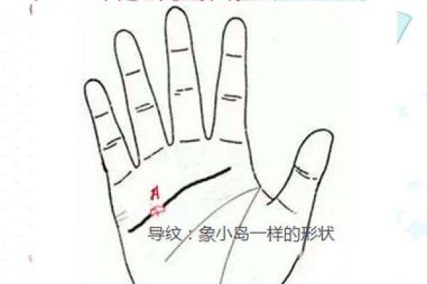小鸟眼揭秘：揭秘你的命运密码