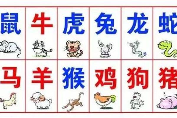 九牛一毛，生肖运势揭秘