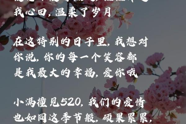 520：爱意满满，传统与现代的浪漫交织