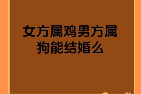 猴狗组合，揭秘最佳婚姻搭配