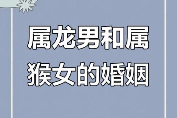 猴狗组合，揭秘最佳婚姻搭配
