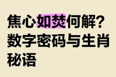 生肖秘语：星云大师的智慧生肖指南