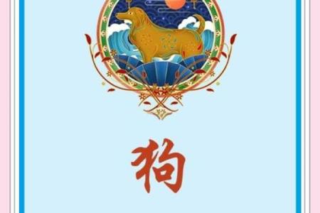 狗年运势大揭秘：年出生的你是什么命？