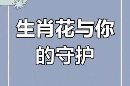 生肖花语：十二生肖花卉图鉴，遇见最美的生肖花