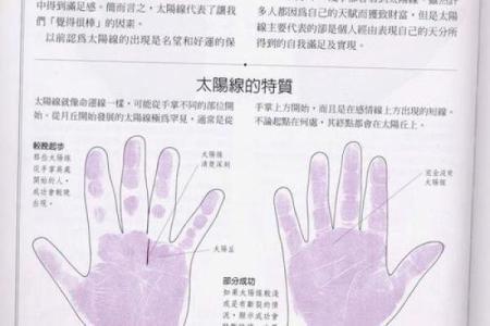 手相揭秘：太阳线井字纹，揭秘你的运势与命运