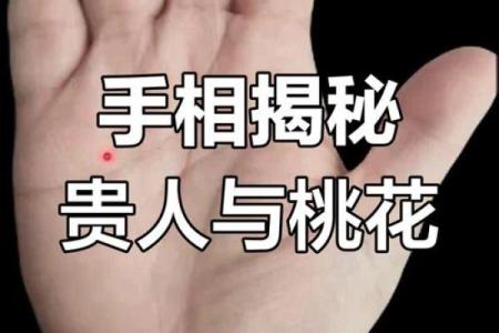 揭秘：二夫命女人手相的惊人秘密