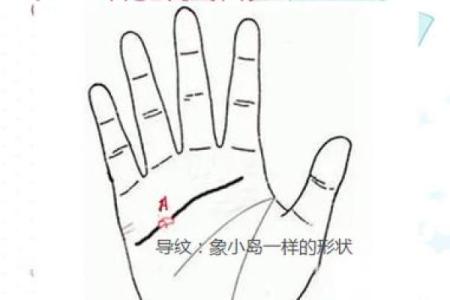 小鸟眼揭秘：揭秘你的命运密码