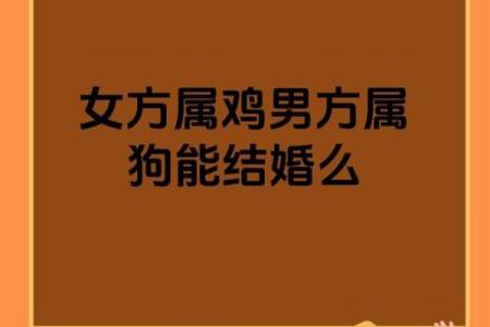 猴狗组合，揭秘最佳婚姻搭配