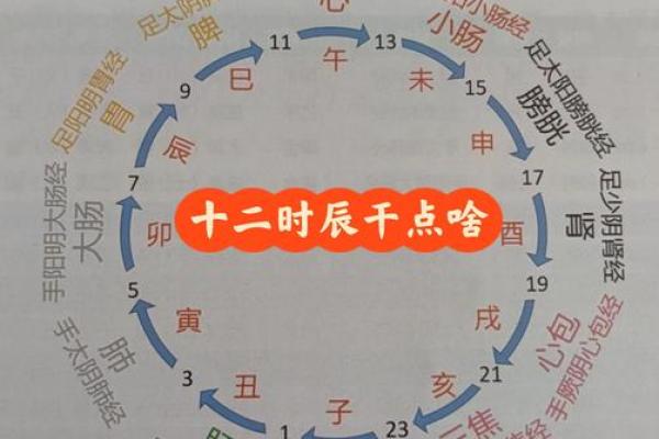天干地支揭秘：如何根据命理调整身体健康