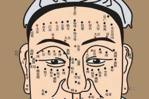 旺夫旺家，一看面相就知道揭秘面相中的旺夫秘密