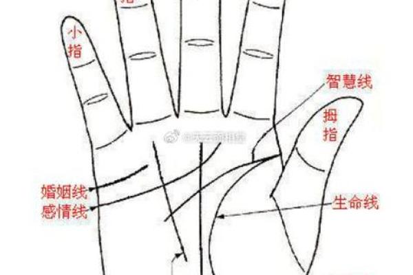 手相图解大全：贯穿线解读，揭秘命运与运势的神秘密码
