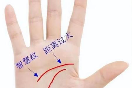 手相图解大全：贯穿线解读，揭秘命运与运势的神秘密码