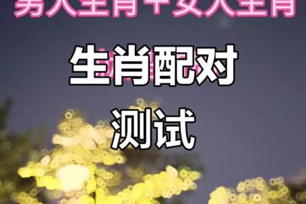 属相配对大揭秘，看看我们有多般配