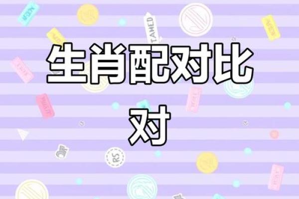 属相配对大揭秘，看看我们有多般配