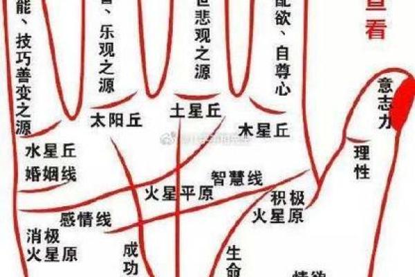 手相事业线揭秘：世界名人事业成功的秘密武器