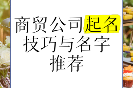 打造属于你的商业帝国——公司起名商贸有限公司