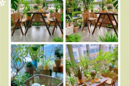阳台客厅风水秘籍：打造家居吉星高照的黄金布局