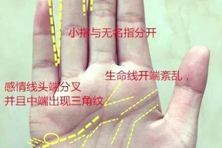 手相婚姻线旁神秘圆圈揭秘：揭秘爱情运势的神秘力量