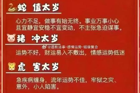 星光熠熠揭秘明星最多星座，你属相里的璀璨星辉