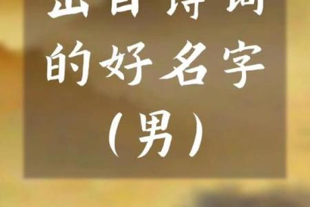 如何让名字充满诗意？探索最美的命名之道