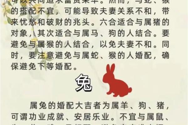 属猪男属鼠女：星座配对，真爱还是友达以上？