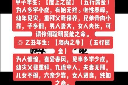 金命揭秘：揭秘金命人的生肖秘密，财运亨通
